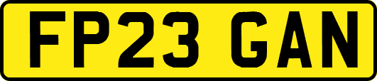 FP23GAN