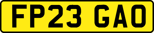 FP23GAO
