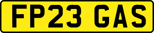 FP23GAS