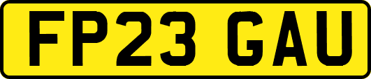 FP23GAU