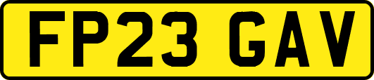 FP23GAV