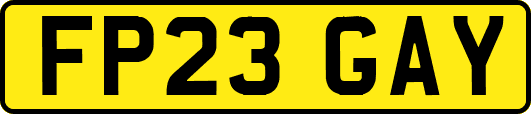 FP23GAY