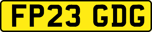 FP23GDG