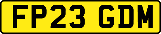 FP23GDM