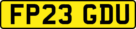 FP23GDU