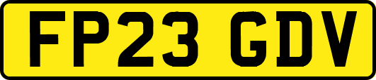 FP23GDV