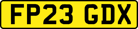 FP23GDX