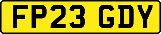 FP23GDY