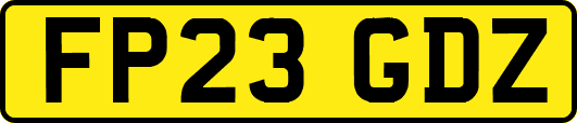 FP23GDZ