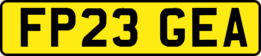 FP23GEA