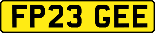 FP23GEE