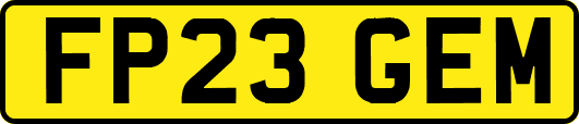 FP23GEM