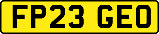 FP23GEO