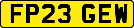 FP23GEW