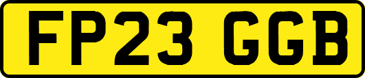 FP23GGB