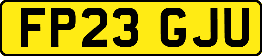 FP23GJU