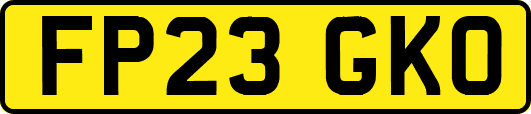 FP23GKO