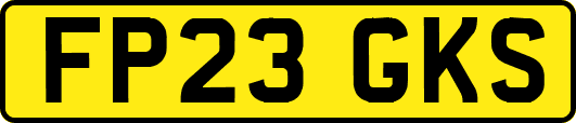 FP23GKS