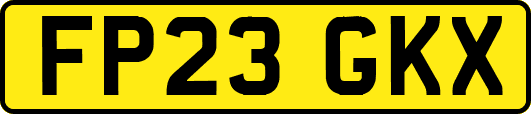 FP23GKX