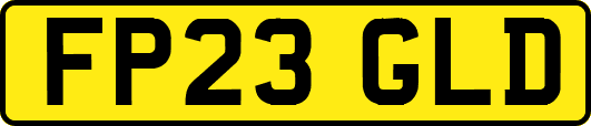 FP23GLD