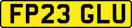 FP23GLU