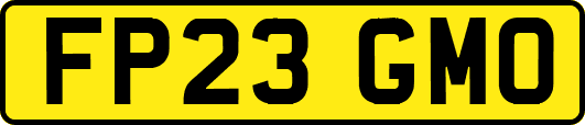 FP23GMO