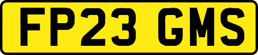 FP23GMS