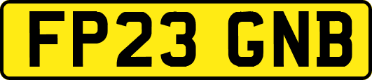 FP23GNB