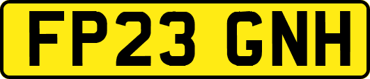 FP23GNH
