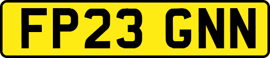 FP23GNN