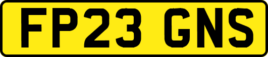 FP23GNS