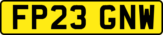 FP23GNW