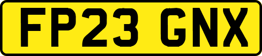 FP23GNX