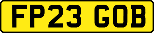 FP23GOB