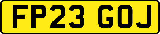 FP23GOJ