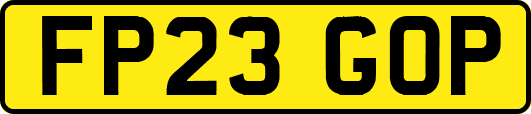 FP23GOP