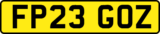 FP23GOZ