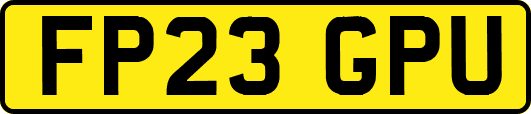 FP23GPU