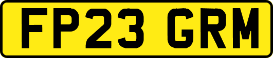 FP23GRM