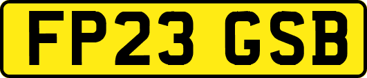 FP23GSB