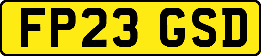 FP23GSD