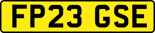 FP23GSE