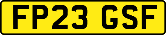 FP23GSF