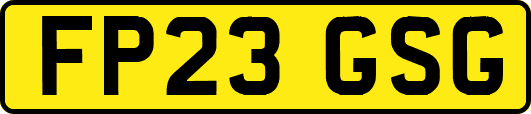 FP23GSG