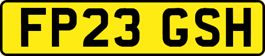 FP23GSH