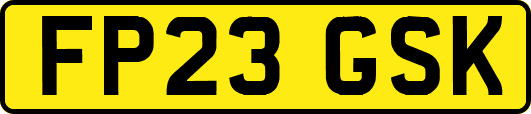 FP23GSK