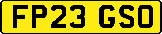 FP23GSO