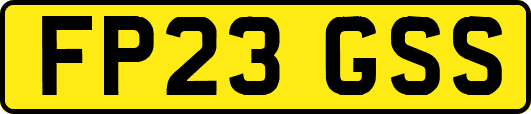 FP23GSS