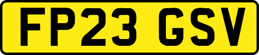 FP23GSV