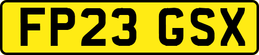 FP23GSX